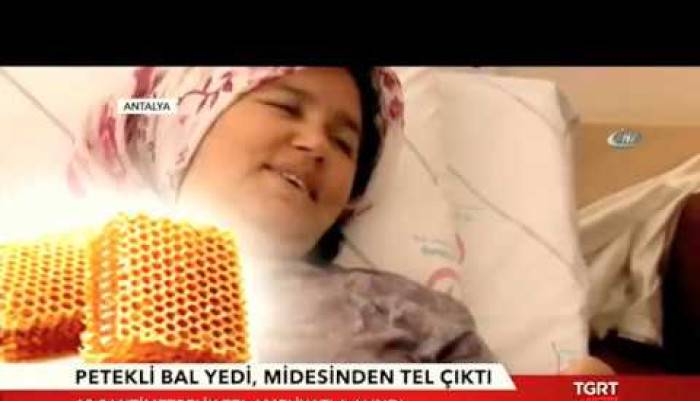 prof-dr-bulent-dinc
